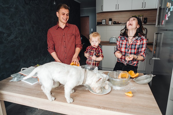 dog-on-the-kitchen-table-happy-family-in-the-Z34CLBT